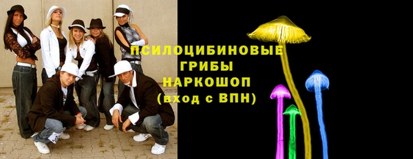 2c-b Абдулино