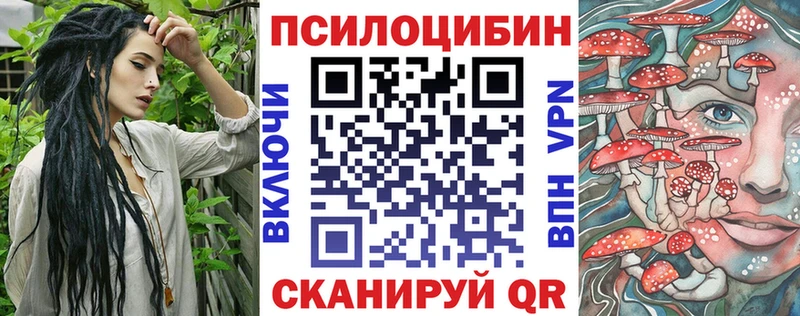 где можно купить наркотик  Грозный  Псилоцибиновые грибы мицелий 